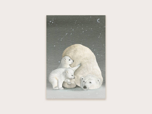 Postkarte Eisbären dunkel