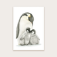Postkarte Pinguine