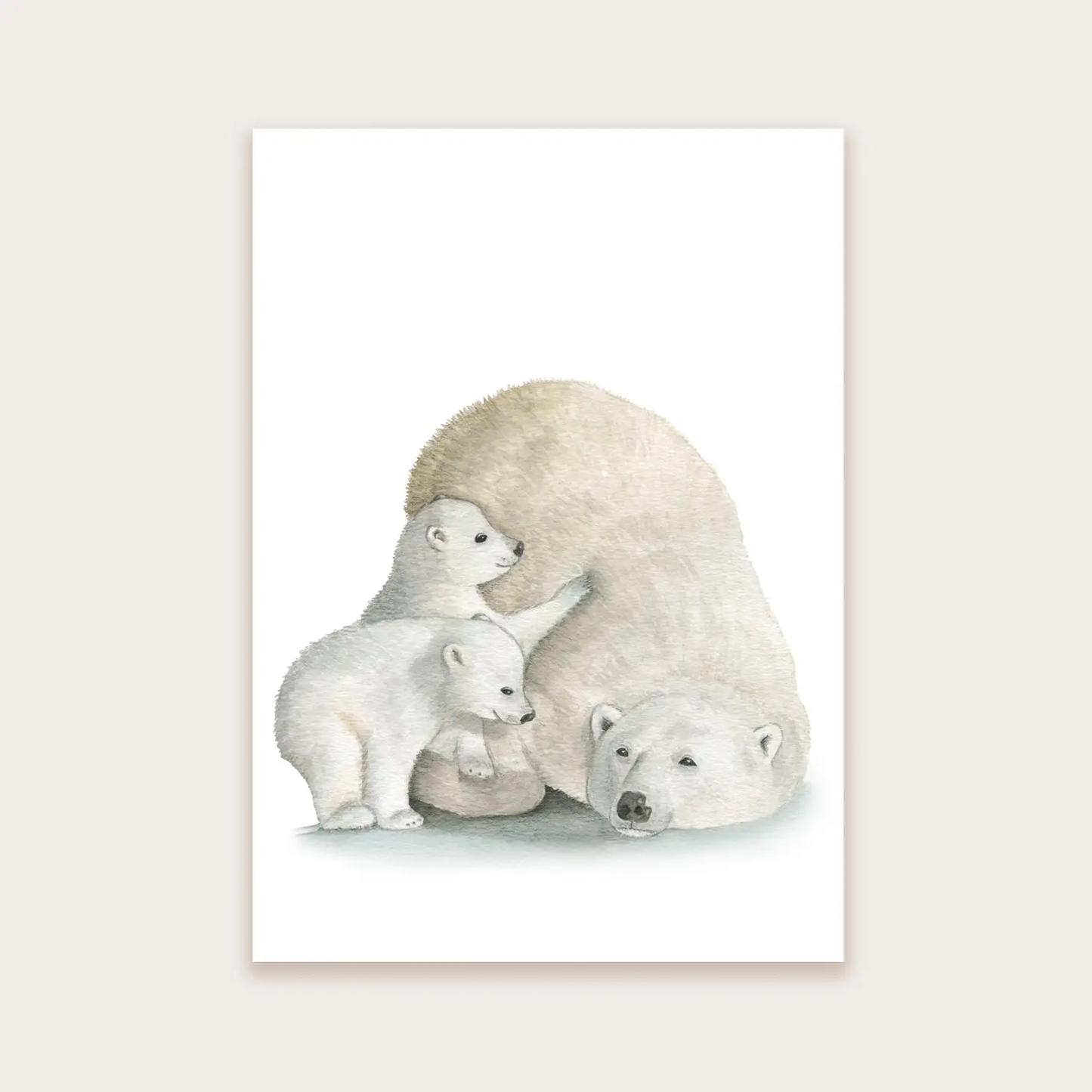 Postkarte Eisbären