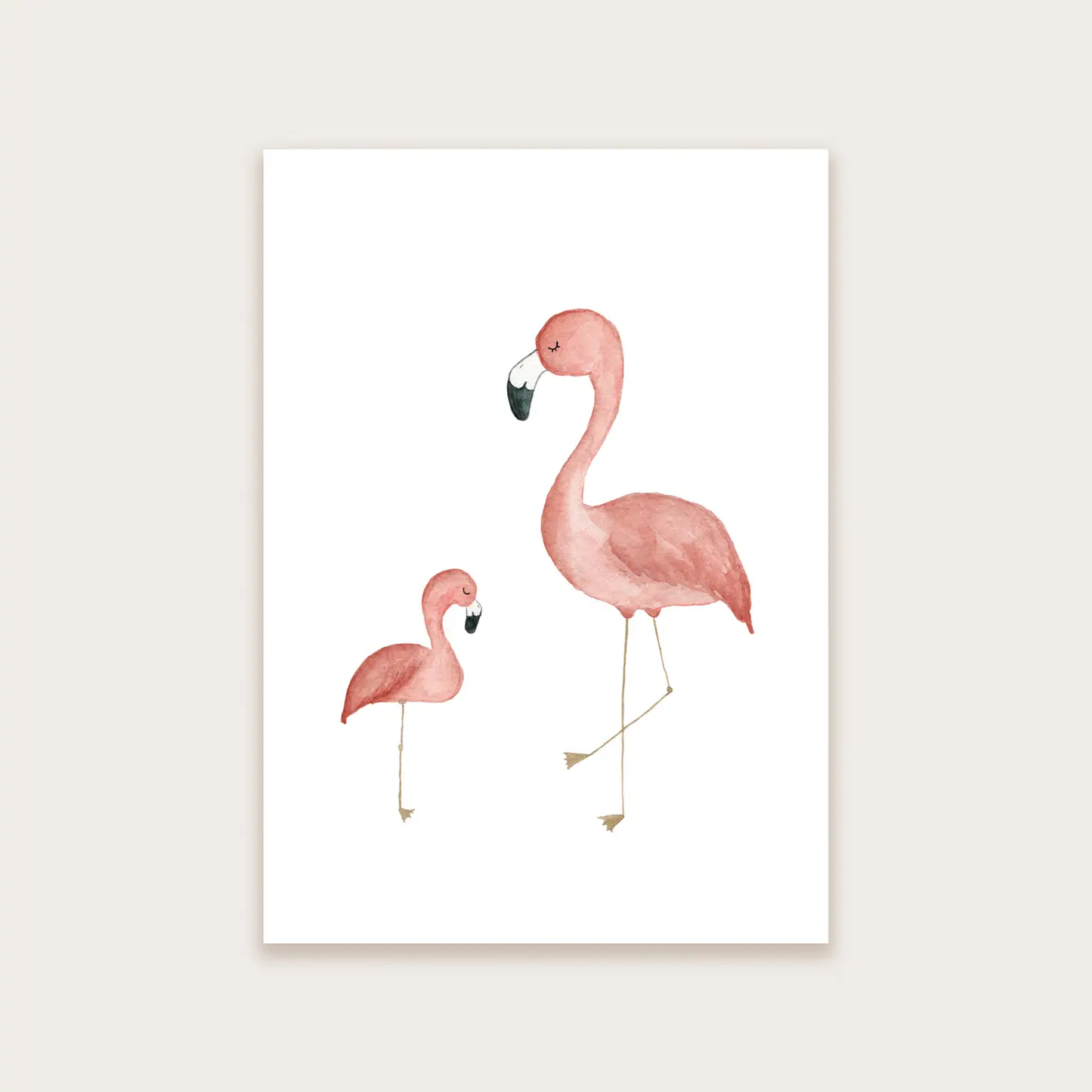 Postkarte Flamingos